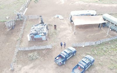 Golpe al abigeato: desbaratan red de faenamiento clandestino en el Valle de Uco