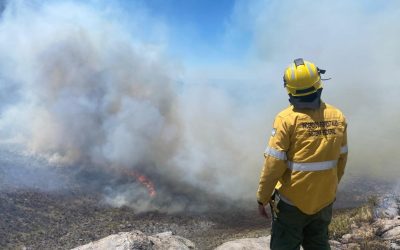 Lograron contener el incendio en la zona de Cerro Nevado