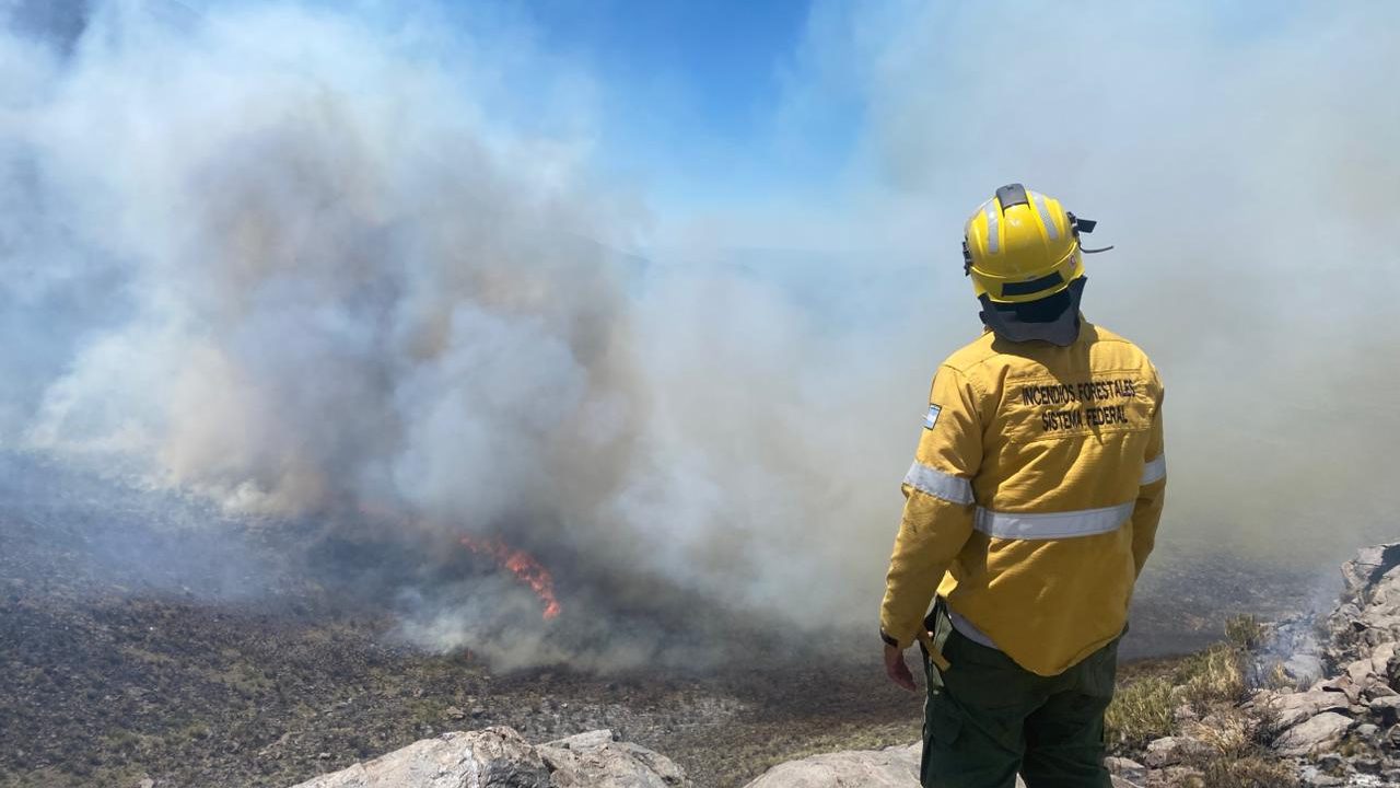 WhatsApp Image 2025-12-09 at 11.08.28