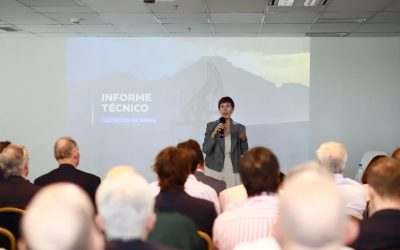 Latorre presentó en el CFI la licitación de las 17 áreas hidrocarburíferas de la provincia