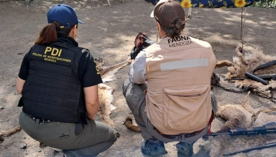 WhatsApp Image 2025-12-18 at 19.01.38 (6)