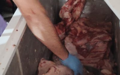 Plan Estratégico contra el Abigeato: secuestran ganado sin procedencia y decomisan numerosos alimentos en mal estado