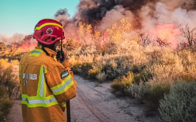 Balance 2025: prevención, control y respuesta coordinada en territorio, agua y áreas naturales