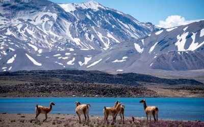 Laguna del Diamante abre sus puertas al público este miércoles 14 de enero tras el despeje del circuito de acceso