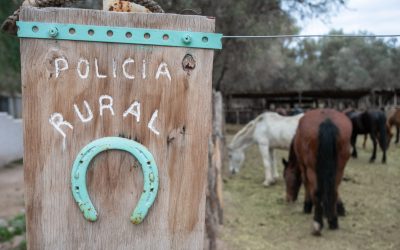 Decomisaron más de 180 kilos de productos cárnicos y fiambres en controles en La Paz