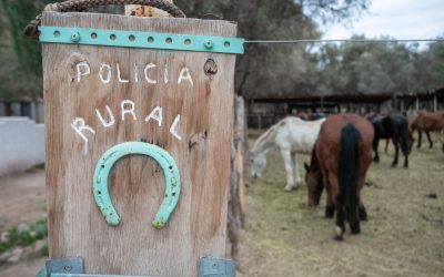 Maipú: la Policía Rural detectó tenencia ilegal de aves silvestres tras un operativo