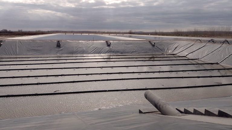 WhatsApp-Image-2024-08-19-at-09.59.54-768×540