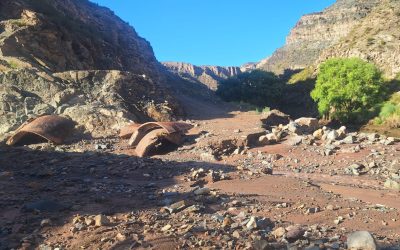 Cañón del Atuel: la DPV ya trabaja para liberar el corte entre La Frazada y la Central 1 