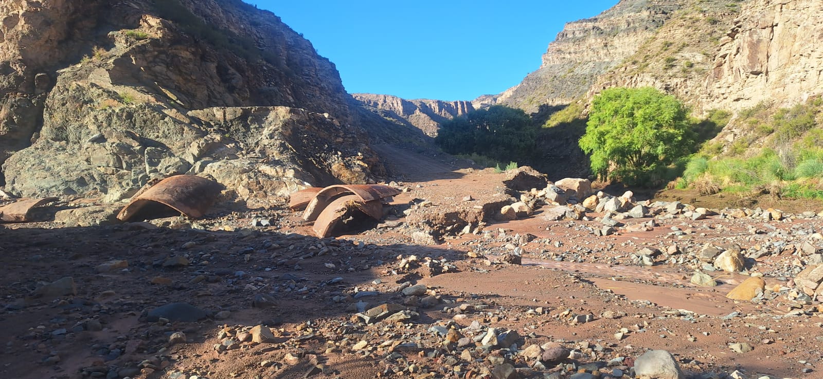 WhatsApp Image 2026-01-06 at 11.03.22