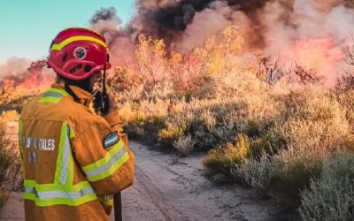 Multas de hasta $70 millones por encender fuego en zonas no autorizadas en Mendoza