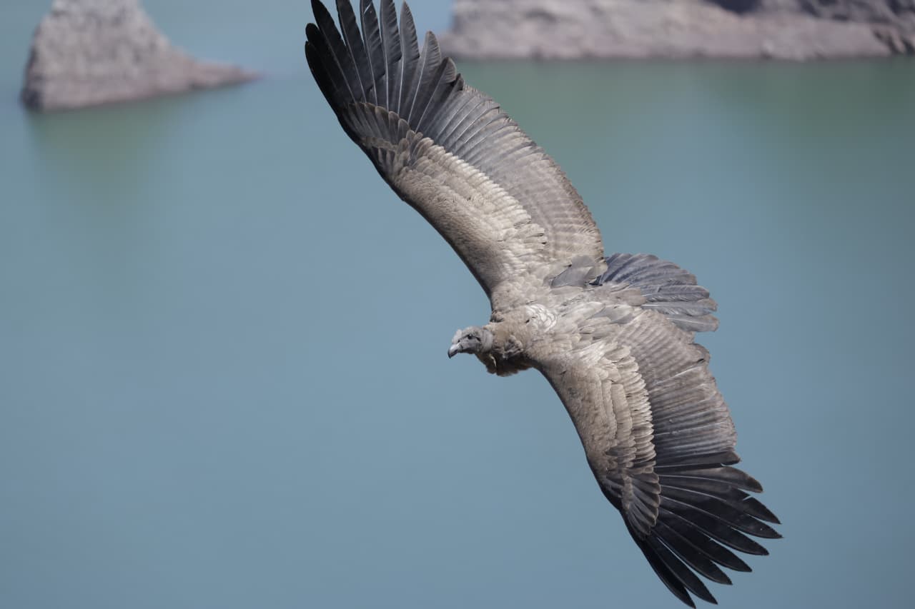 WhatsApp Image 2026-01-19 at 16.19.01 (2)