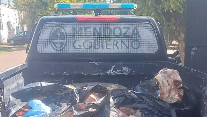 WhatsApp Image 2026-01-23 at 13.43.22