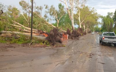 Temporal en Mendoza: el Gobierno provincial activó un amplio operativo y confirmó que no hubo víctimas