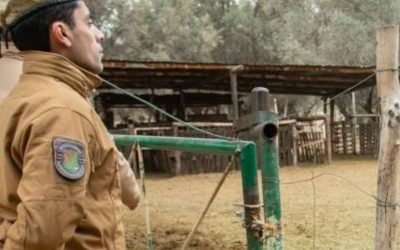 Clausuraron una panadería en Las Heras y decomisaron más de 21 toneladas de productos por graves irregularidades sanitarias