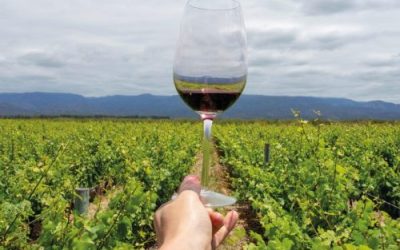 Entre los destinos nacionales más elegidos para vacacionar, Mendoza tiene los precios más competitivos