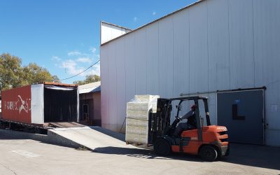 Ágil NEX 2026 abre su convocatoria impulsada por resultados que consolidan a Mendoza como semillero de nuevos exportadores