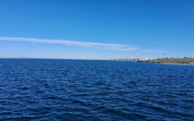 Irrigación responde por El Nihuil: el bajo nivel se debe a la crisis hídrica y el ecosistema del lago «está sano»