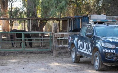 Plan Estratégico contra el Abigeato: decomisaron 110 kilos de carne vacuna por romper la cadena de frío en Tunuyán