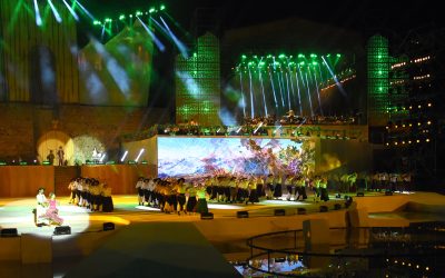 Vendimia 2026: cómo reservar y retirar entradas para personas con discapacidad