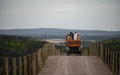 Aventuras en familia y con mascotas en Mendoza, Capital Mundial del Vino
