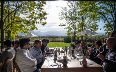 Informe de prensa IV – Vendimia 2026: Mendoza, tierra del buen vino y espacio de negocios