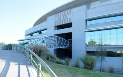 Estos son los recomendados del fin de semana