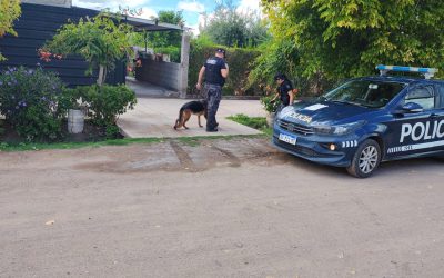 Con el olfato de “Ultra”, cayó el autor de un robo a un comercio en Santa Rosa
