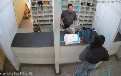 El Sistema Único de Ingreso frustró un intento de ingresar celulares en la cárcel de San Felipe