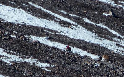Rescate en el Parque Aconcagua: evacuaron a un andinista tras una caída en altura