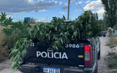 La UEP Tupungato desplegó maniobras preventivas y secuestró marihuana, cocaína y un arma