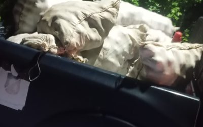 Operativos nocturnos de la UEP Tupungato: aprehensiones, secuestro de réplicas y recuperación de fruta robada