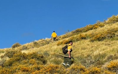 Plan Provincial Manejo del Fuego: lograron controlar un incendio en la zona de Bardas Blancas