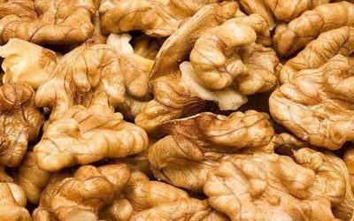 Mendoza refuerza los controles para garantizar un traslado seguro y ordenado de frutos secos durante la temporada 2026