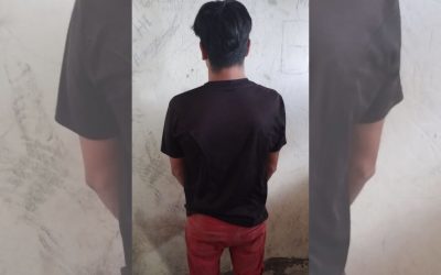 La Policía de Mendoza frustró un intento de robo en una finca de Maipú y detuvo al responsable