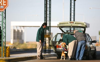 Para el resguardo de la producción local, Iscamen recuerda que no está permitido el ingreso de frutas y hortalizas