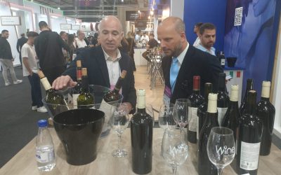Wine South América 2026: ProMendoza lanza la convocatoria para bodegas pymes