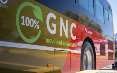 Fiesta de la Vendimia: Servicios Especiales de Transporte