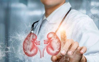 Día Mundial del Riñón: destacan la importancia de detectar a tiempo la enfermedad renal crónica