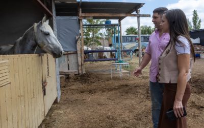 El Plan Estratégico contra el Abigeato refuerza el resguardo de animales secuestrados en operativos contra la faena clandestina