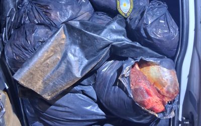Patrullaje nocturno en San Carlos: la Policía secuestró 2 toneladas de carne y detuvo a dos hombres