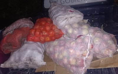 Patrullajes en Tupungato: robos frustrados y detenidos