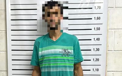 Rápido accionar policial permitió detener al autor de un robo en Las Heras