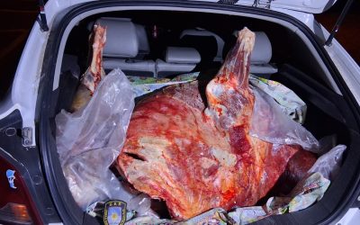 San Carlos: decomisan 140 kilos de carne vacuna en un operativo contra el abigeato