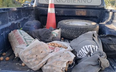 En patrullajes preventivos en Tupungato, la Policía frenó el robo de nueces y secuestró más de 300 kilos