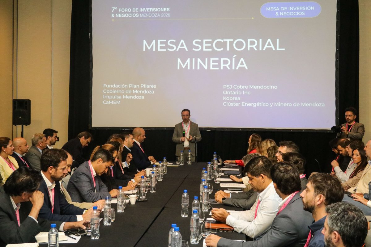 Minería: Mendoza presentó su cartera de inversión y los avances del sector en el Foro de Inversiones & Negocios