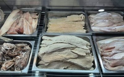 Semana Santa: Recomendaciones para el consumo de pescado                   