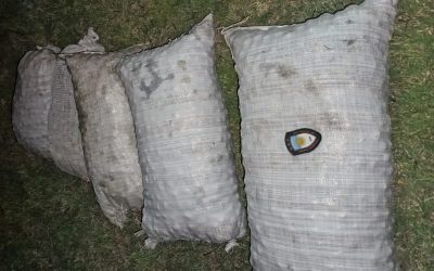 En tres intervenciones, la Policía frustró el robo de más de 550 kilos de nueces en Tupungato