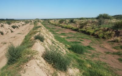 Dos empresas presentaron ofertas para la obra aluvional en San Rafael