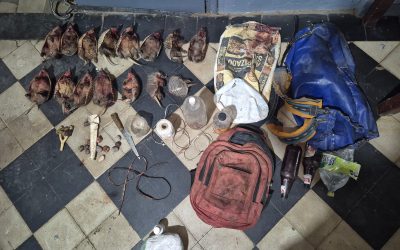 En un control preventivo en San Carlos, la Policía Rural detectó caza ilegal y secuestró 15 piches