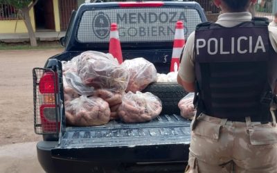 Controles en San Martín: decomisan más de 200 kilos de carne sin trazabilidad en un comercio